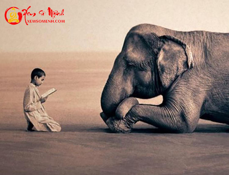 Đừng vì miếng ăn mà kết ác nghiệp