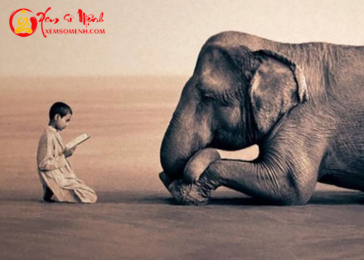 Phat Giao khuyen nen an chay de tranh ac nghiep hinh anh 2