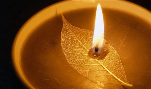 Phải sám hối cho những lời thề độc của mình Phai sam hoi cho nhung loi the doc cua minh