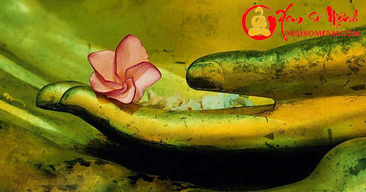 Cán cân công lý chuẩn xác nhất của Luật Nhân Quả