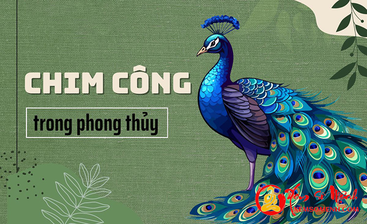 Chim CÔNG trong phong thủy: Biết dùng đúng cách vừa may mắn vừa dồi dào tài lộc, làm ăn tấn tới