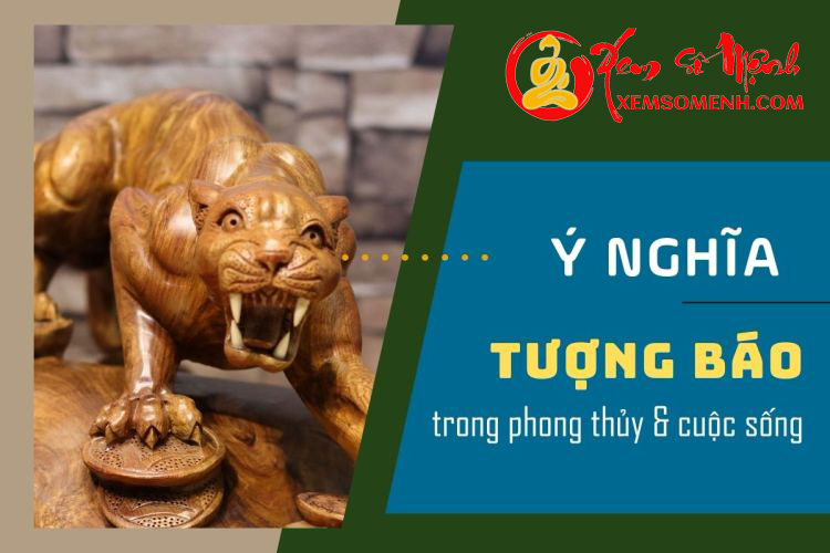 Y nghia cua tuong bao phong thuy