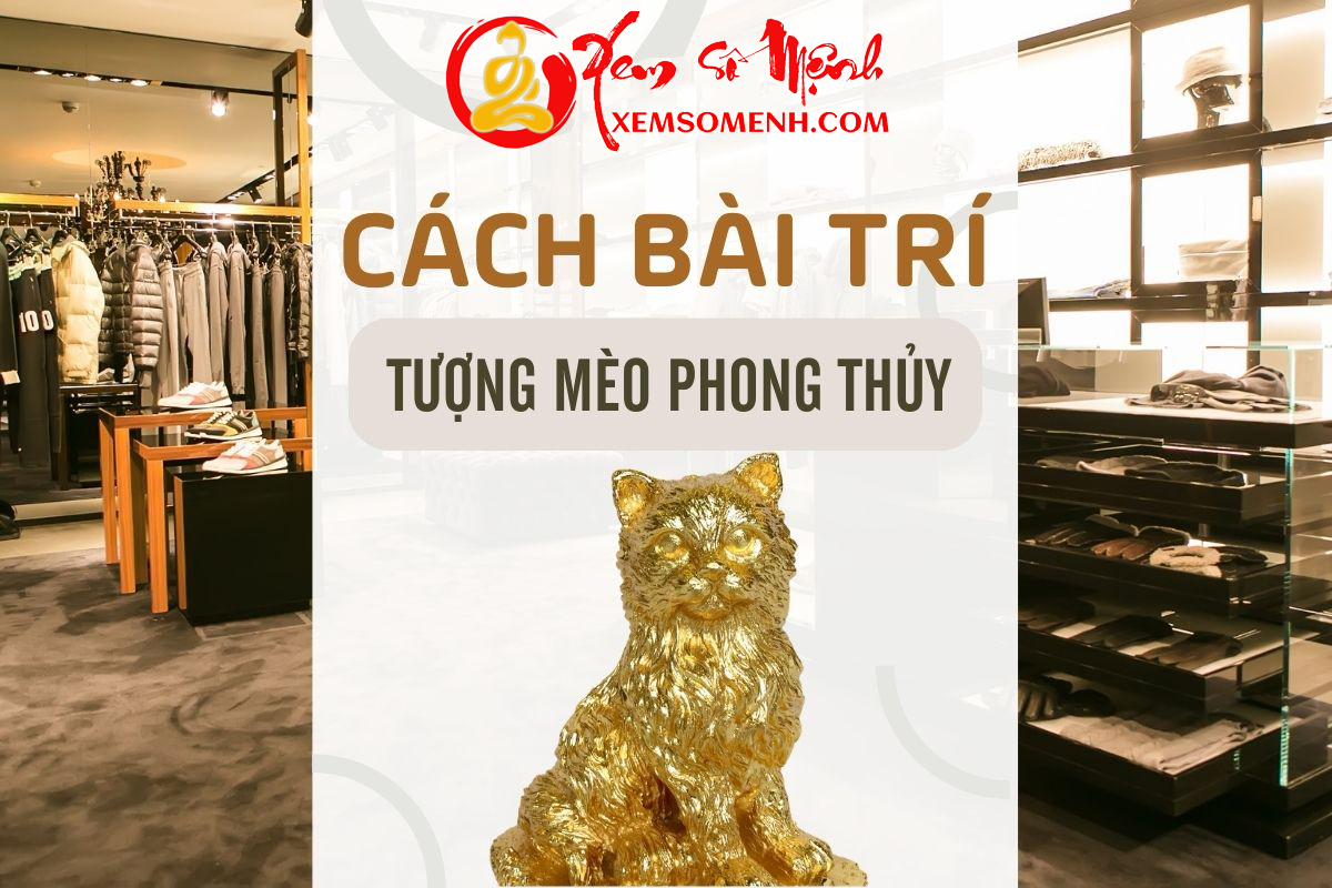 Cach bai tri tuong Meo phong thuy