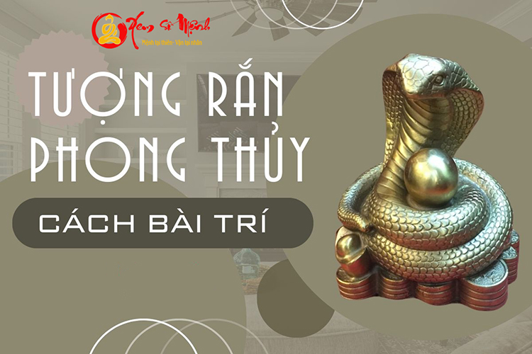 Cach dat tuong Ran phong thuy