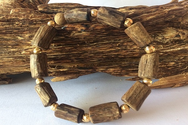 Trầm Hương – Báu Vật Trời Ban, Vì Sao Giá Trị Cao Ngất Ngưởng