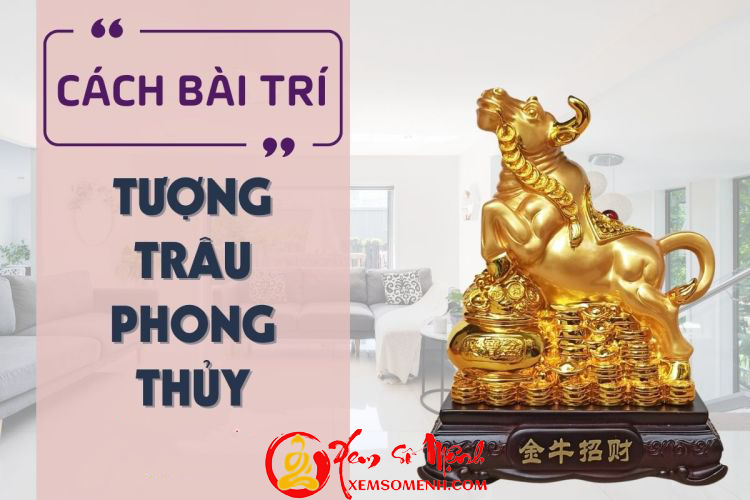 Cach bai tri tuong Trau phong thuy