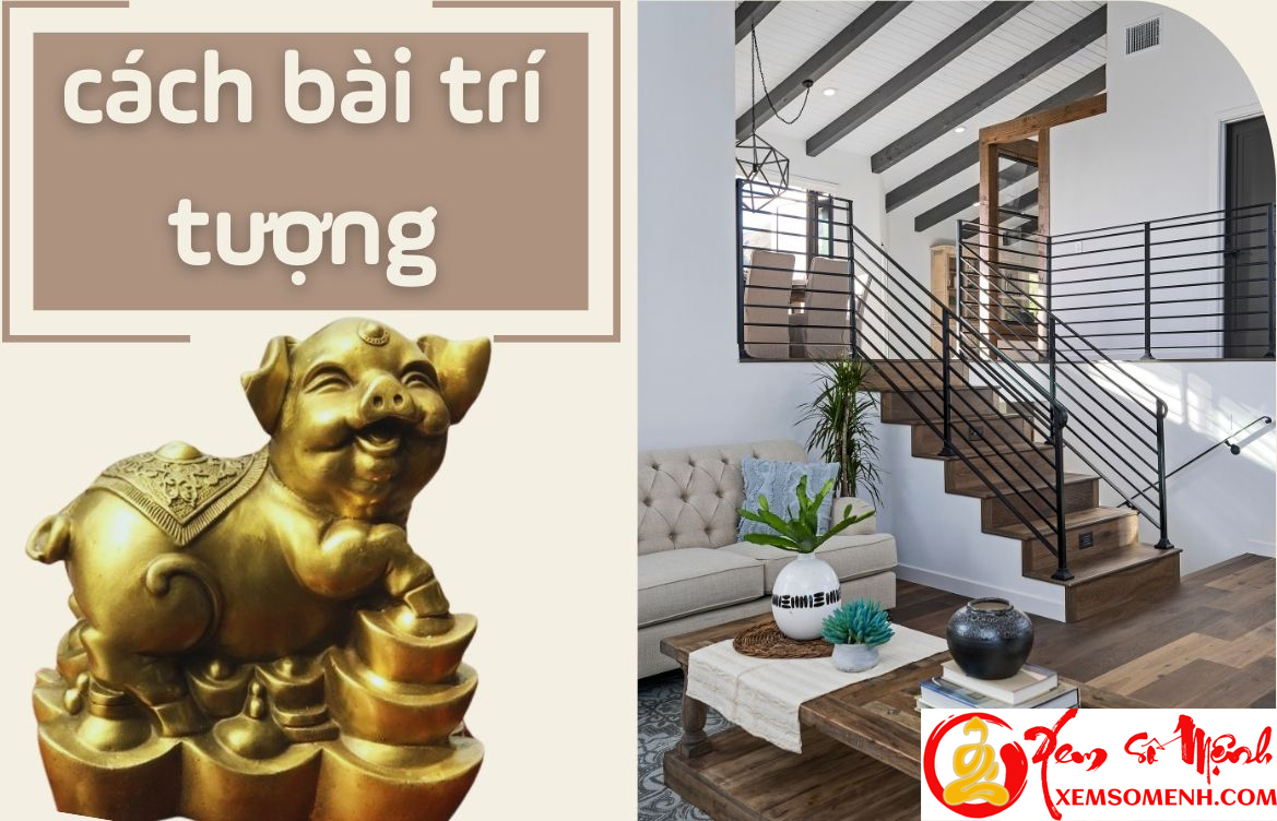 Cach dat tuong Lon phong thuy