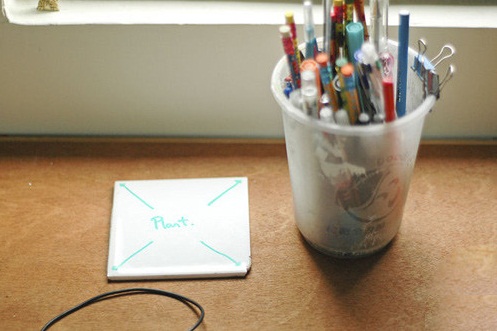 Đặt cây xanh trên bàn làm việc thế nào để thăng tiến trong sự nghiệp hình ảnh Dat cay xanh tren ban lam viec the nao de thang tien trong su nghiep hinh anh