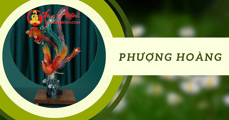 Phượng Hoàng Phuong Hoang