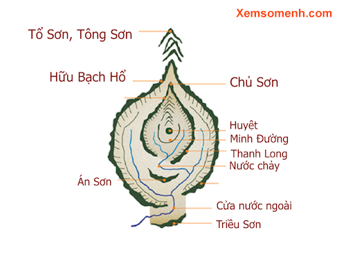 Kiến thức cơ bản về phong thủy âm trạch