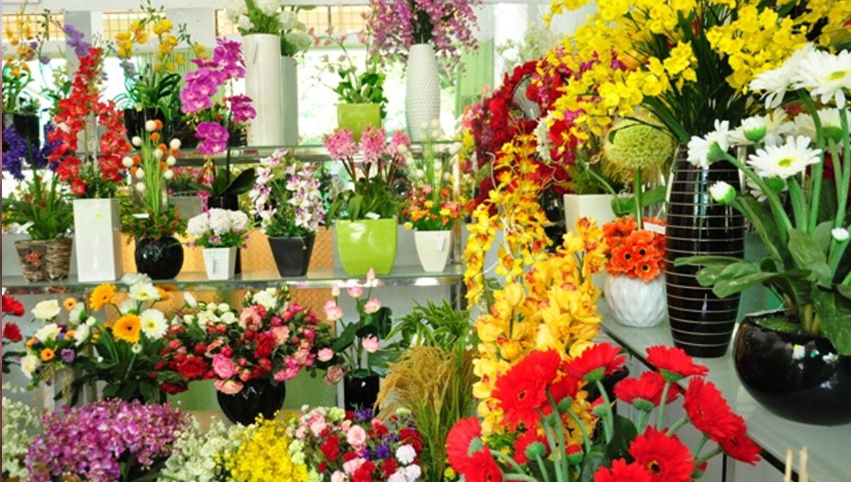 Chọn ngay hoa trưng Tết để cả năm được may mắn, thành công