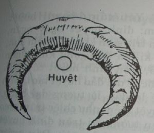 Tang huyet oa - dai cat dai loi hinh anh