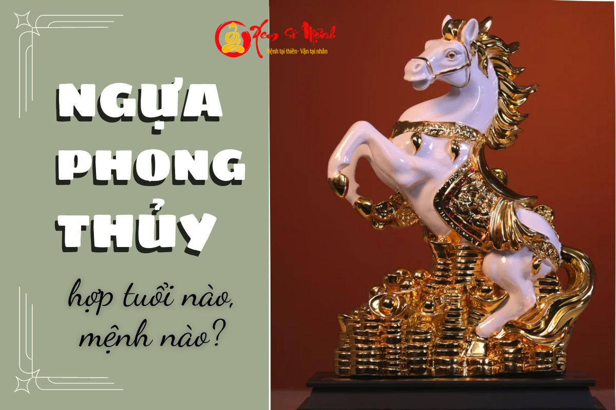 Ngua phong thuy hop tuoi nao, menh nao?