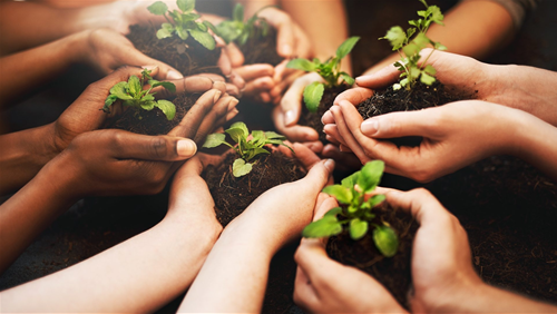 tính cách bình địa mộc tinh cach binh dia moc