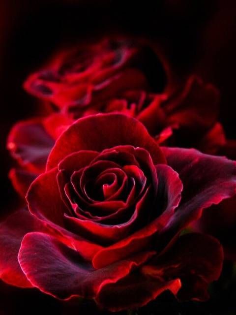 Màu sắc mà người mệnh Lư Trong Hỏa nên ưu tiên lựa chọn Mau sac ma nguoi menh Lu Trong Hoa nen uu tien lua chon