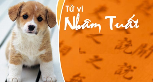 Vận mệnh người tuổi Nhâm Tuất theo Lục Thập Hoa Giáp hình ảnh Van menh nguoi tuoi Nham Tuat theo Luc Thap Hoa Giap hinh anh