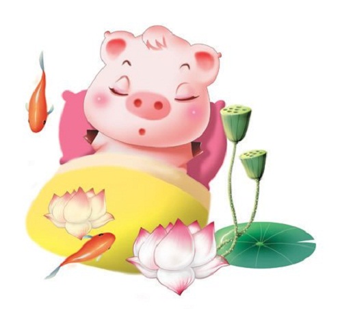 Giải mã vận mệnh người tuổi Tân Hợi theo Lục Thập Hoa Giáp