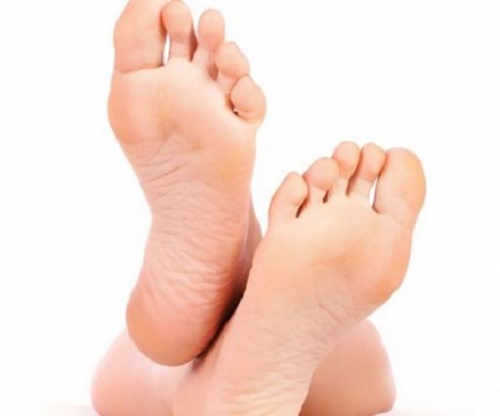 Đường Định Mệnh Ở Lòng Bàn Chân Và Ý Nghĩa Với Cuộc Đời