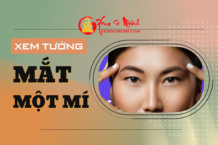 Xem tuong mat mot mi