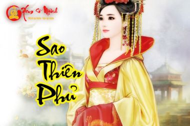 Sao Thiên Phủ - Ý Nghĩa Tại Mệnh Và Các Cung Khác Trong Tử Vi