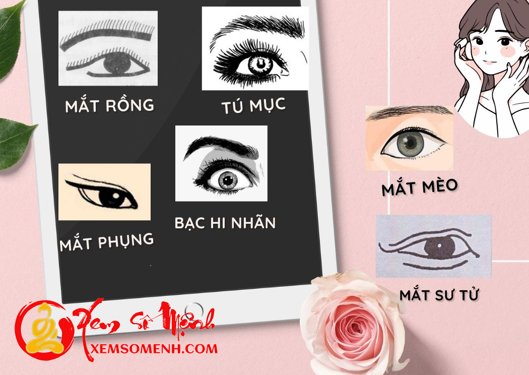 Một số tướng mắt Mot so tuong mat