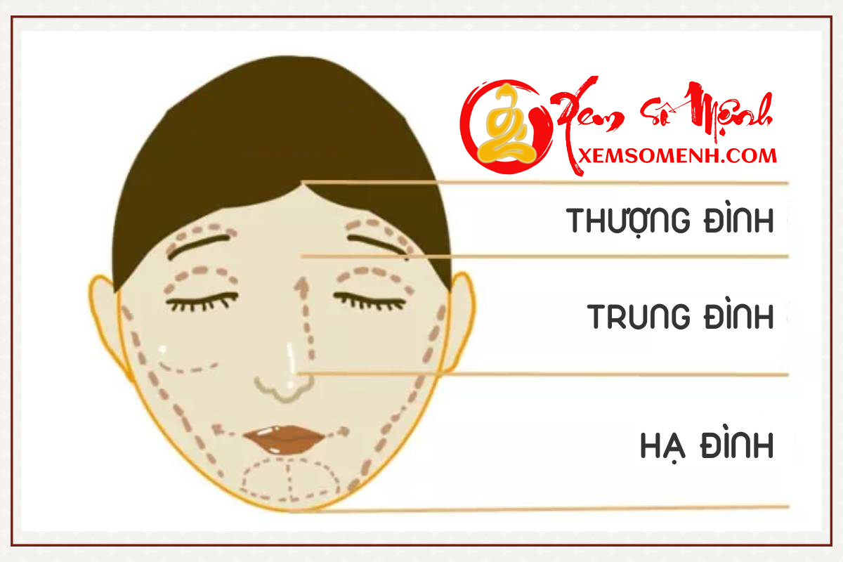 Tam đình trên khuôn mặt Tam dinh tren khuon mat