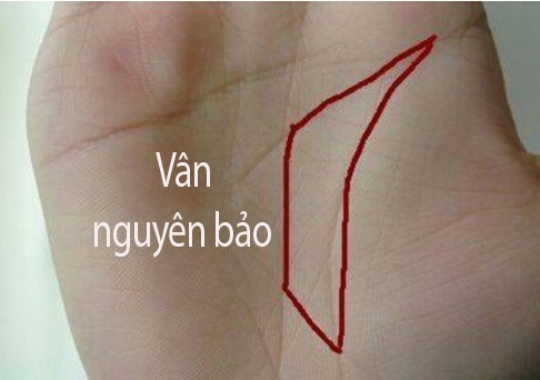 Long ban tay co hinh thoi vang 1 Long ban tay co hinh thoi vang 1