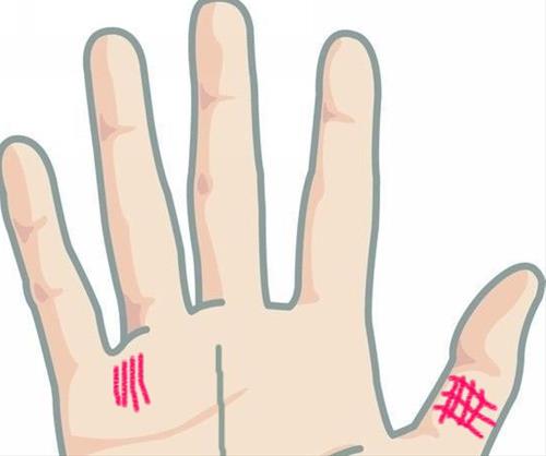 Long ban tay co hinh thoi vang 3 - van tai van Long ban tay co hinh thoi vang 3 - van tai van