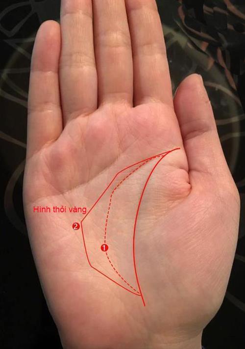 Long ban tay co hinh thoi vang Long ban tay co hinh thoi vang