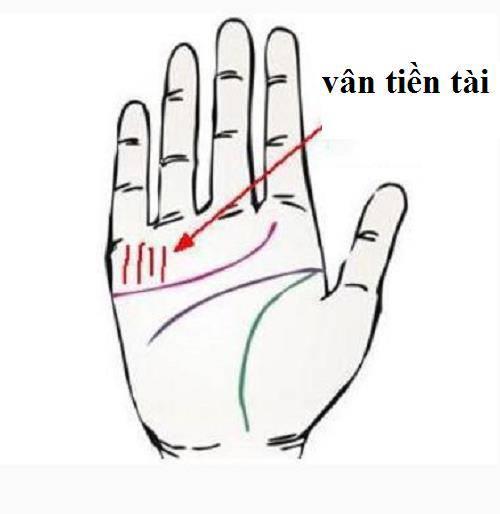 vân tiền tài nhiều van tien tai nhieu