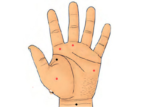 Có nối ruồi này ở bàn tay không phú quý giàu sang thì cũng quý nhân vượng vận