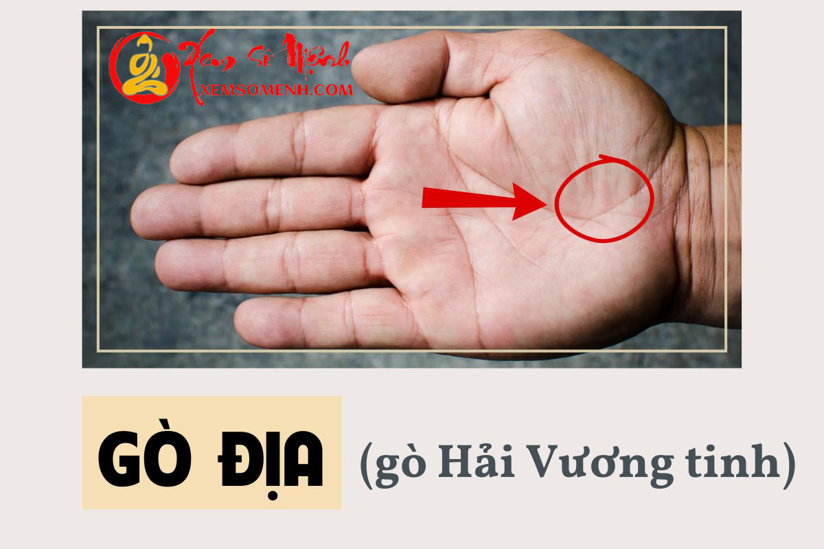 Go Dia trong long ban tay la gi