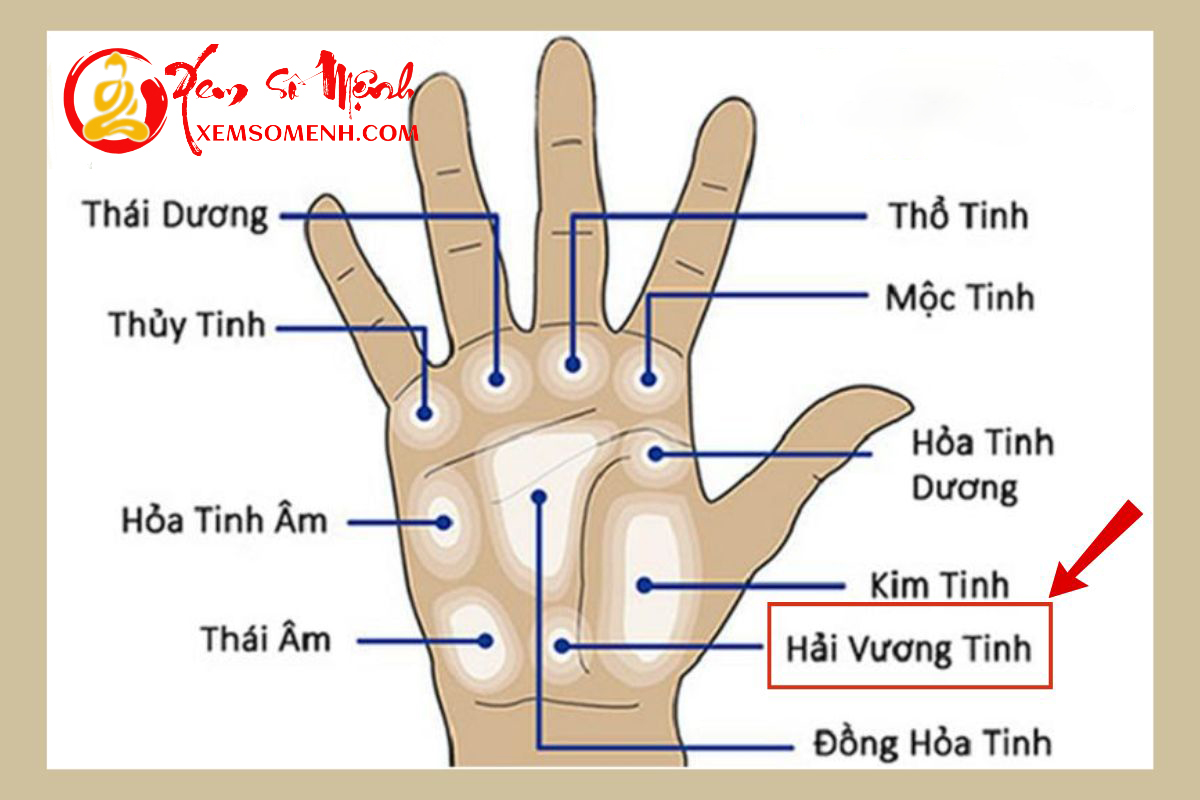 Vi tri go Dia trong long ban tay