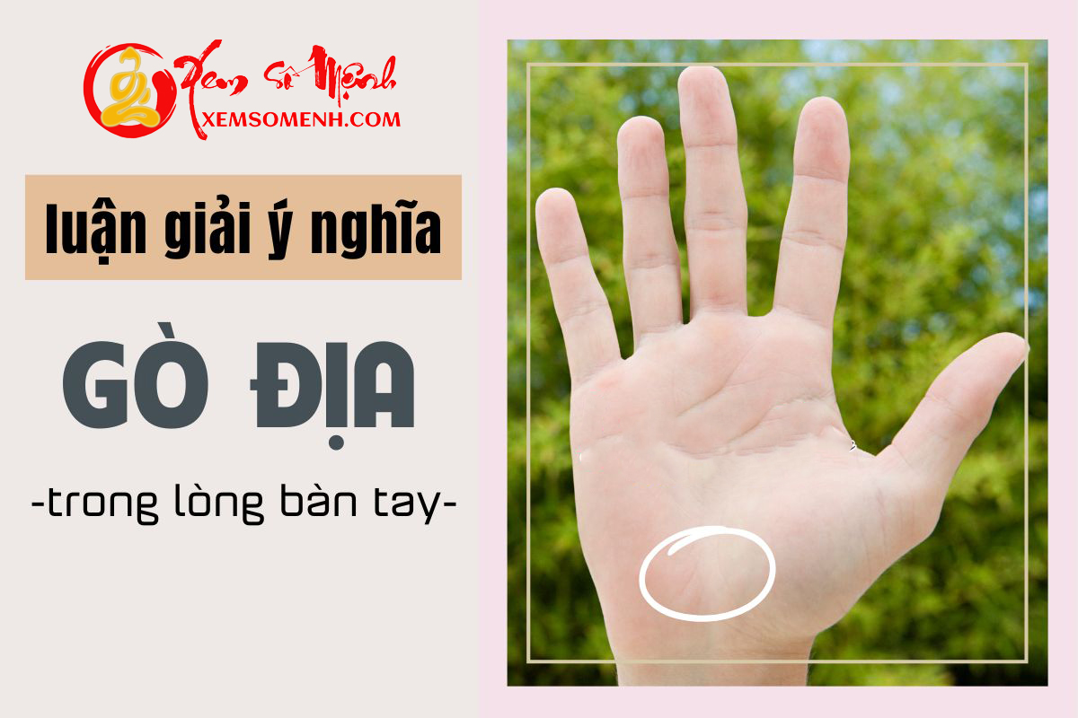 Gò Địa - Gò Hải vương tinh trong lòng bàn tay là gì? Báo hiệu điều thú vị nào về cuộc đời?