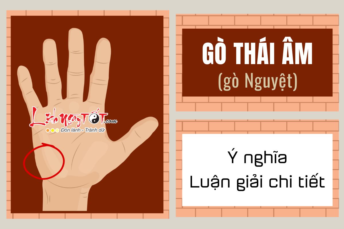 Luận giải chi tiết Gò Thái âm trên bàn tay Luan giai chi tiet Go Thai am tren ban tay