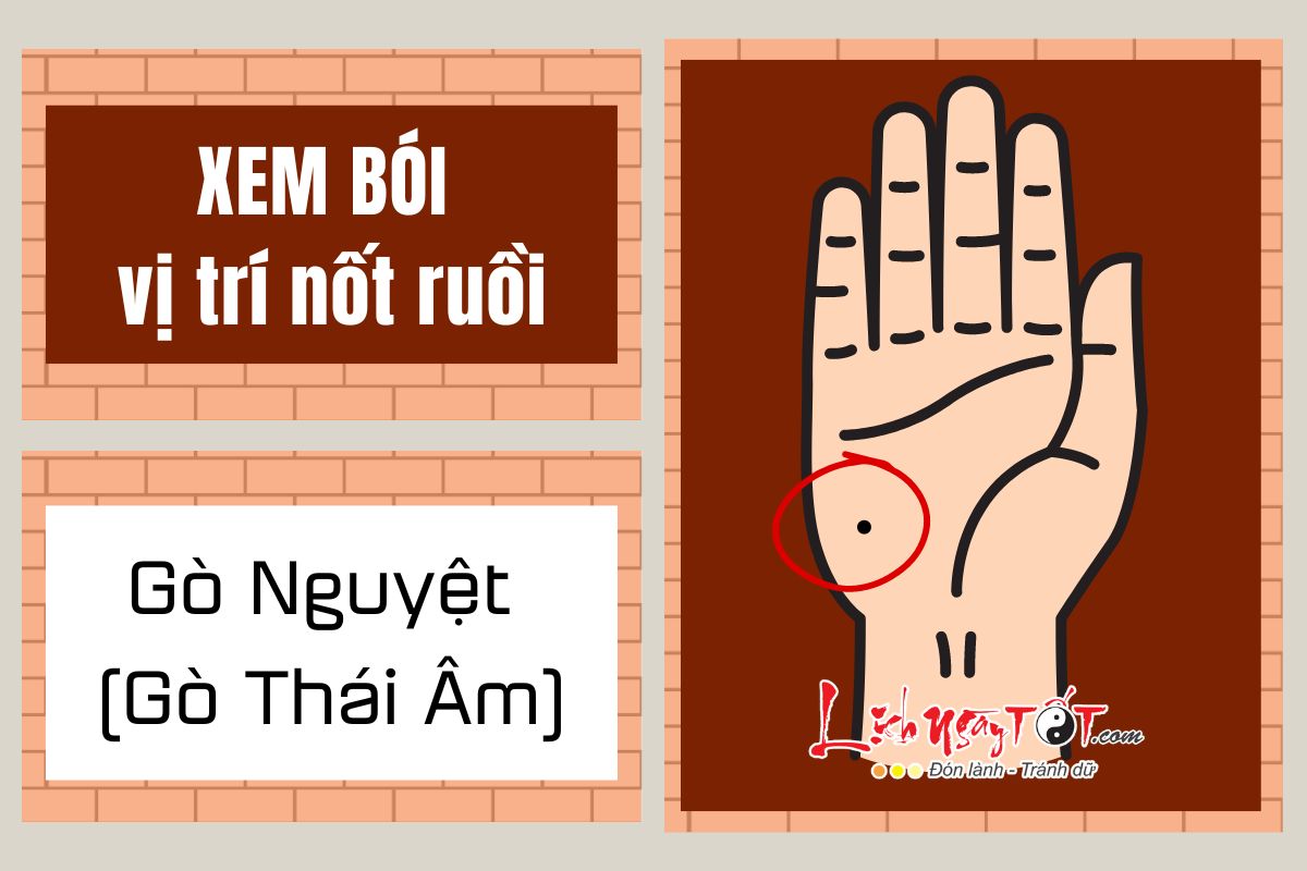 Nốt ruồi trên gò Thái âm Not ruoi tren go Thai am