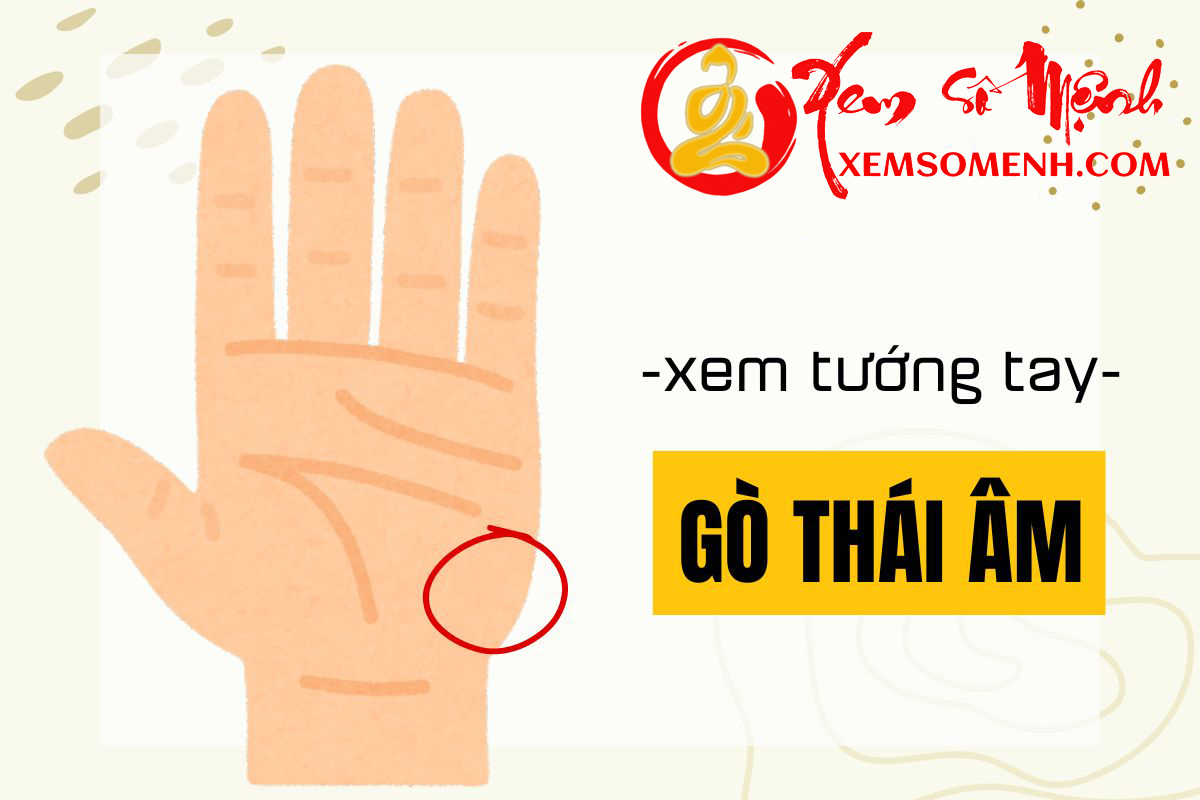 Gò Thái âm - Gò Nguyệt trên bàn tay là gì? Luận giải ý nghĩa gò Thái âm dự đoán vận mệnh tương lai