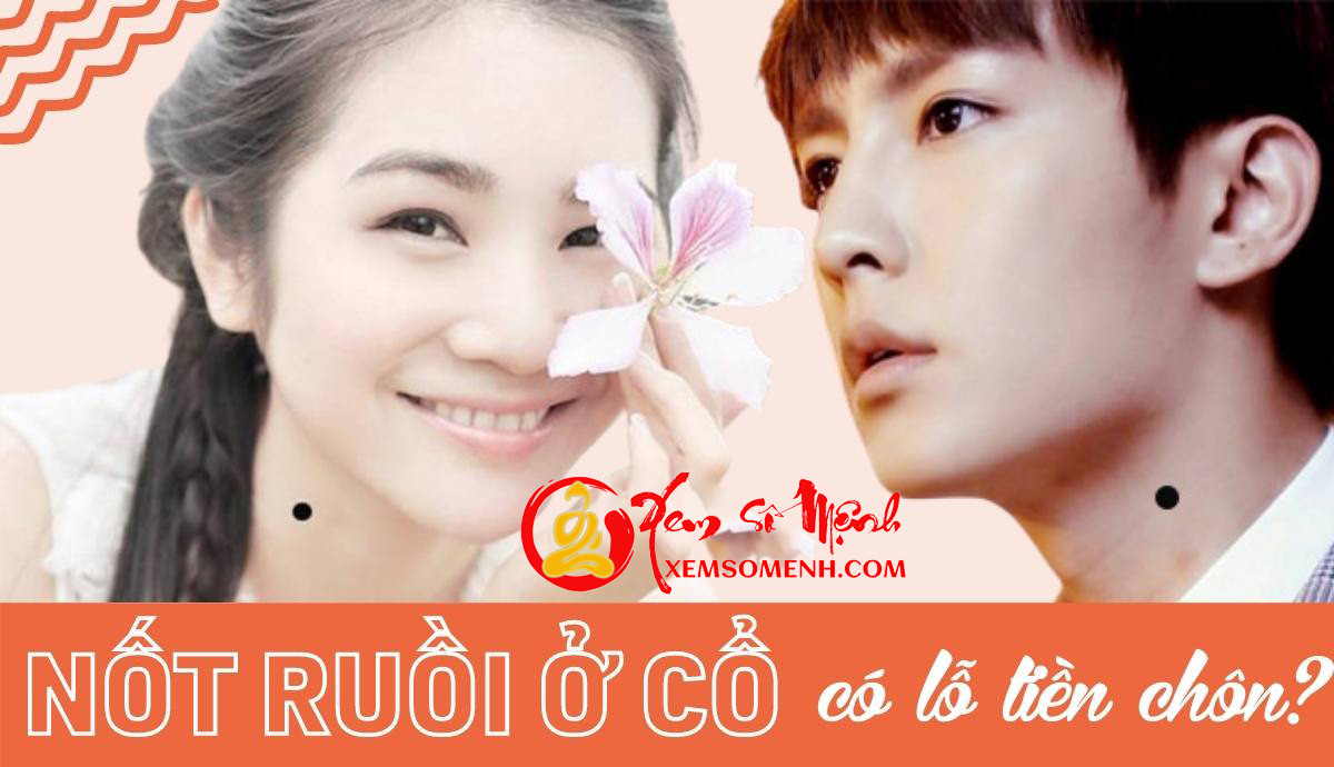 Not ruoi o co co lo tien chon