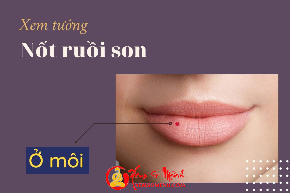 Tuong not ruoi son o moi