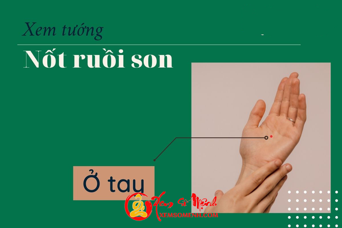 Tuong not ruoi son o tay