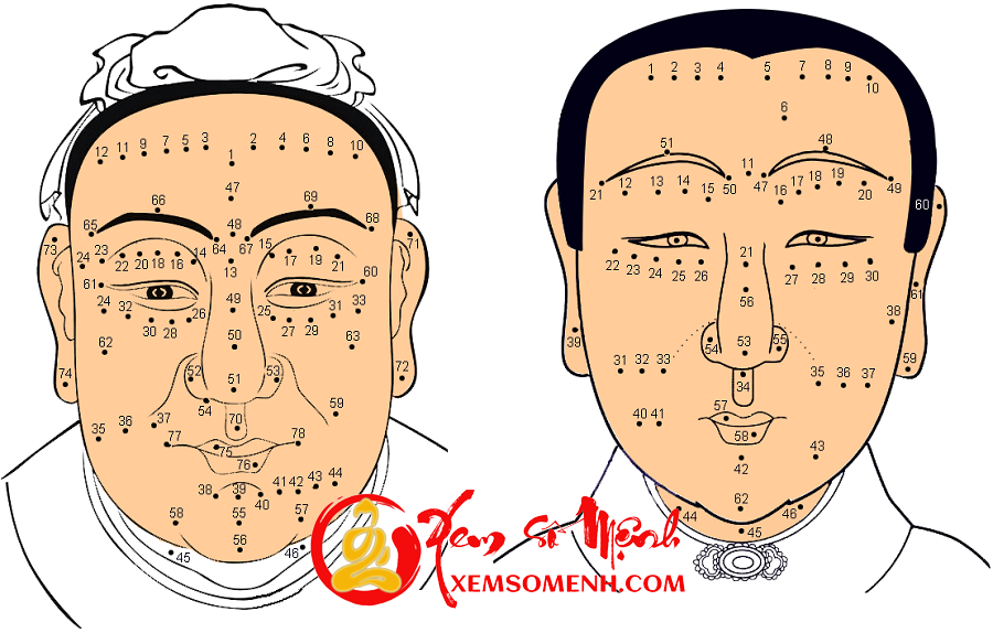 Giải mã chính xác ý nghĩa 140 nốt ruồi trên khuôn mặt nam nữ thường thấy nhất