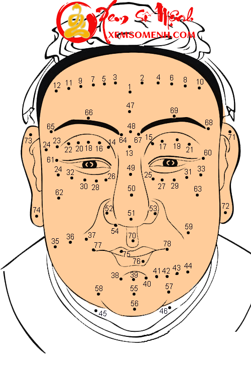 not ruoi tren mat dan ong