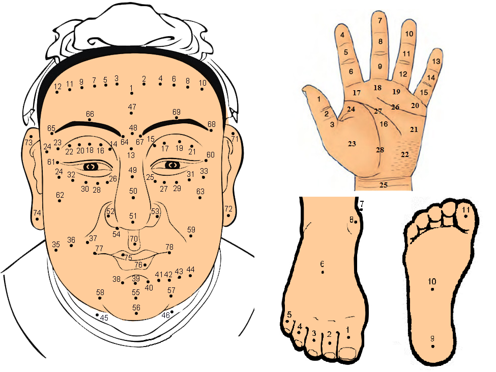 Giải mã ý nghĩa gần 250 nốt ruồi trên cơ thể nam nữ đầy đủ và chi tiết