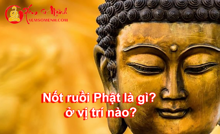 Nốt ruồi Phật là gì? Ai có nốt ruồi ở vị trí này thì đúng là PHƯỚC 3 đời!