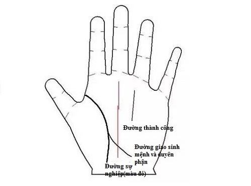 Nét tướng tay báo hiệu chủ nhân vượng vận đào hoa cả đời hình ảnh Net tuong tay bao hieu chu nhan vuong van dao hoa ca doi hinh anh