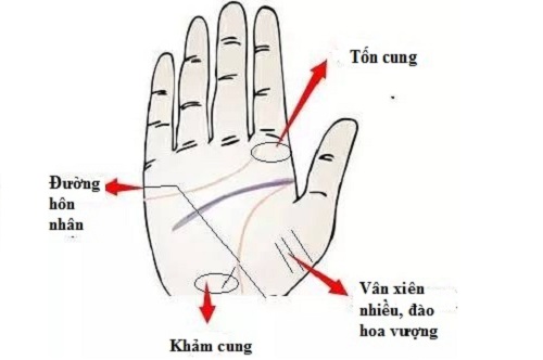 Nét tướng tay báo hiệu chủ nhân vượng vận đào hoa cả đời hình ảnh Net tuong tay bao hieu chu nhan vuong van dao hoa ca doi hinh anh