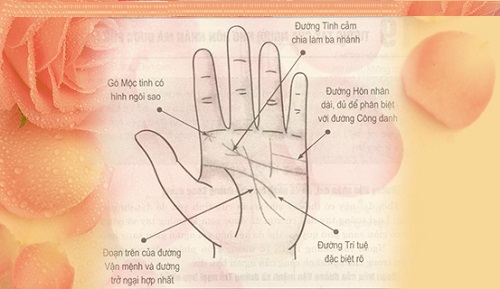 Xem tướng tay người được hưởng phú quý sau khi kết hôn