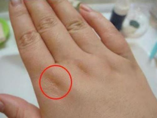 Xem tay biết ngay cuộc đời vinh hoa phú quý khó ai bì kịp này không?