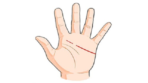 Nhìn Lòng Bàn Tay, Phụ Nữ Sẽ Biết Định Hướng Tương Lai Của Mình