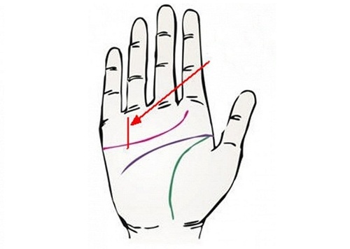 Xem duong van tai van